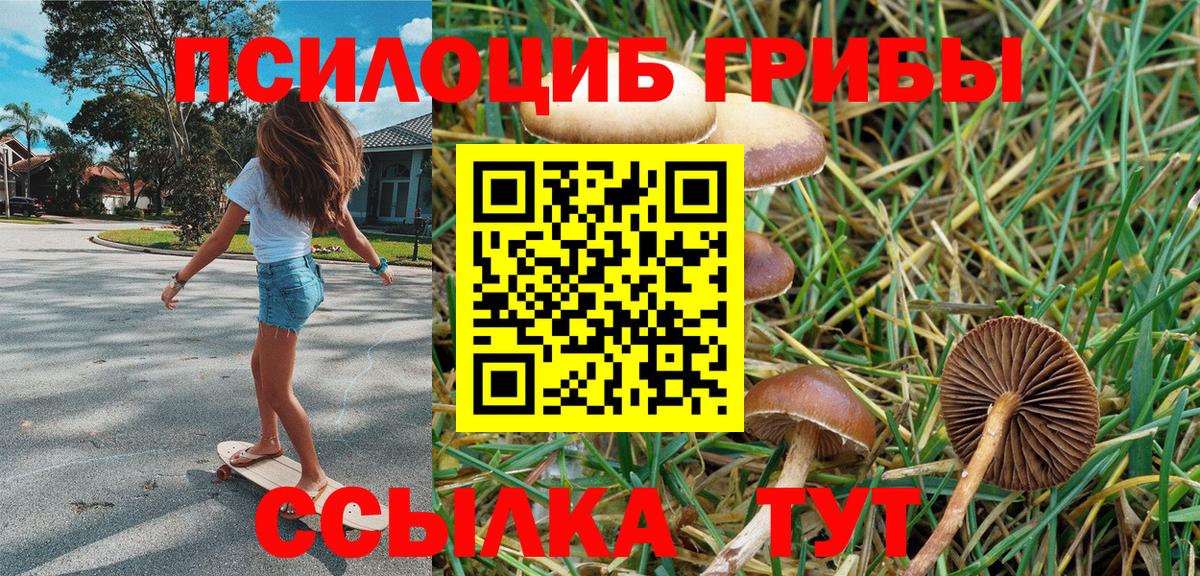 Псилоцибиновые грибы мицелий Кувандык